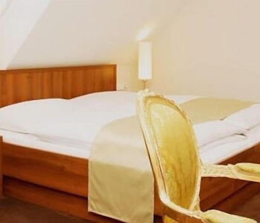 Imagen general del Hotel Pfeiler\'s Bürgerstüberl. Foto 1