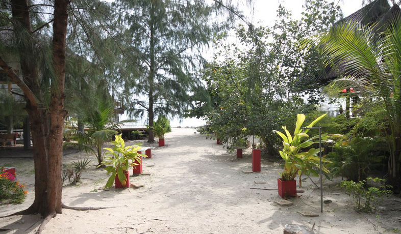 Imagen de los exteriores del Hotel Phangan Cove Beach Resort. Foto 5