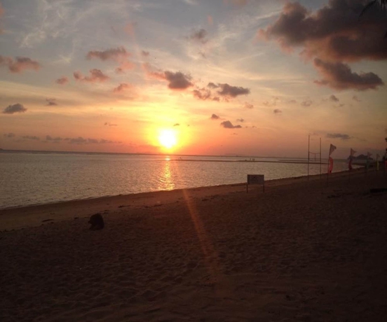 Imagen de los exteriores del Hotel Phangan Lodge. Foto 15