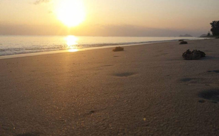 Imagen de los exteriores del Hotel Phangan Lodge. Foto 17