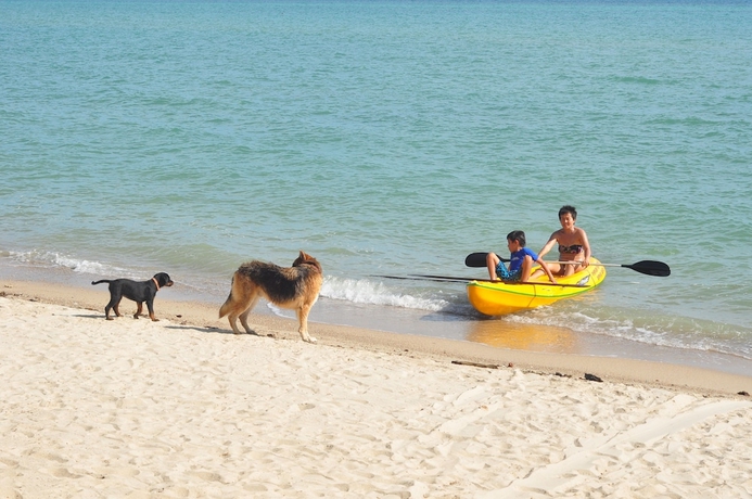 Imagen general del Hotel Phangan Rainbow Bungalows. Foto 2