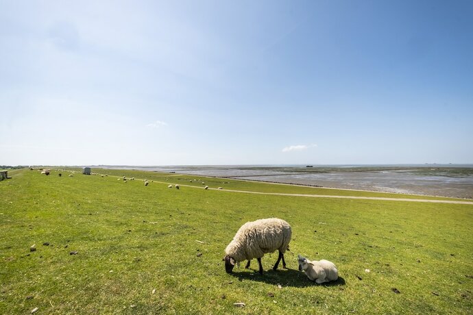 Imagen general del Hotel Pharisäerhof. Foto 13