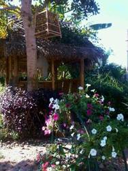 Imagen general del Hotel Phaya Inn. Foto 2