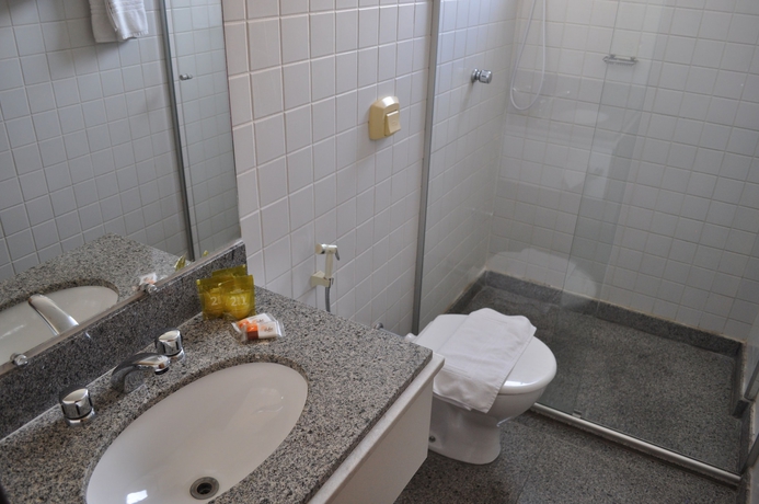 Imagen de la habitación del Hotel Phenix Flat Service. Foto 14