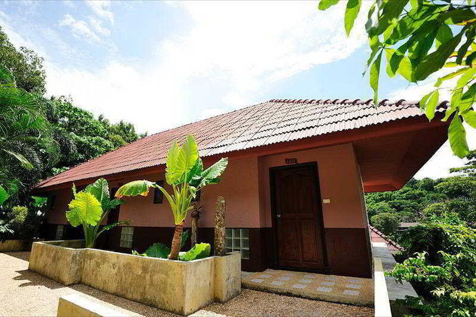 Imagen de la habitación del Hotel Phi Phi Arboreal Resort. Foto 10