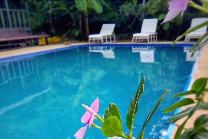 Imagen de la piscina del Hotel Phi Phi Sea and Hill. Foto 19