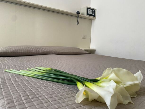 Imagen general del Hotel Philadelphia, Cattolica. Foto 3