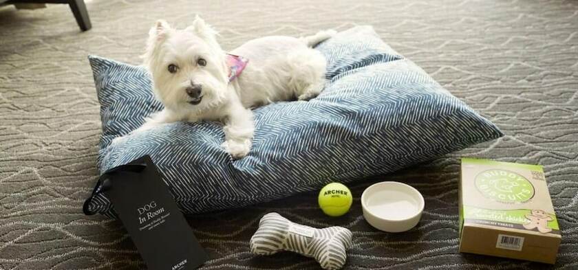 Imagen de la habitación del Hotel Philoxenia. Foto 20