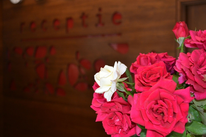 Imagen de los interiores del Hotel Phoenicia Comfort. Foto 5