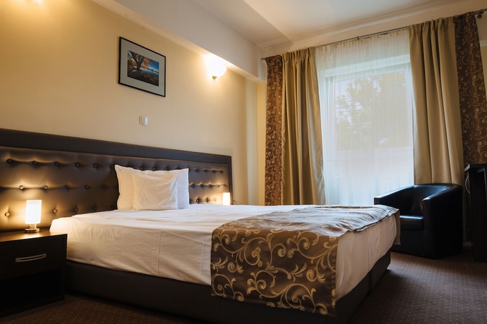 Imagen de la habitación del Hotel Phoenix, Arad. Foto 7