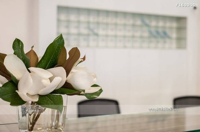 Imagen general del Hotel Phoenix Beach. Foto 14