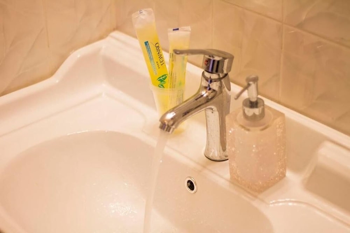 Imagen de la habitación del Hotel Phoenix, Brooklyn. Foto 18