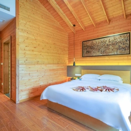 Imagen de la habitación del Hotel Phoenix Hotspring Resort. Foto 6