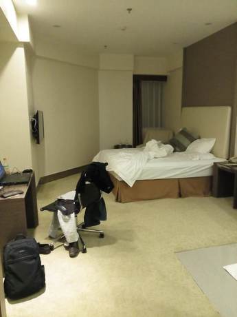 Imagen de la habitación del Hotel Phoenix Jinghua Hotel. Foto 3