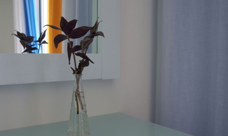 Imagen de los interiores del Hotel Phoenix, L&eacute;ucade. Foto 17