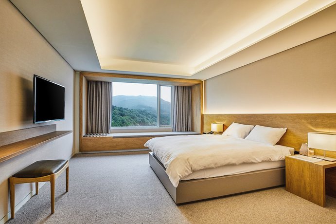 Imagen de la habitación del Hotel Phoenix Pyeongchang. Foto 8