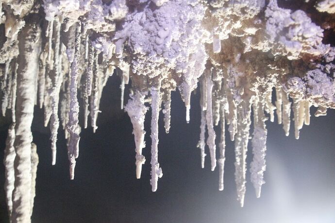 Imagen general del Hotel Phong Nha Garden House. Foto 10