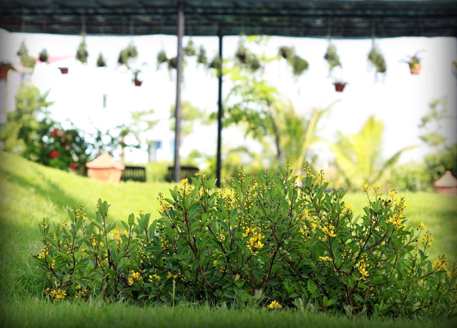 Imagen de los interiores del Hotel Phu Thinh Boutique Resort and Spa. Foto 16