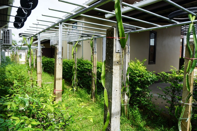 Imagen de los exteriores del Hotel Phumipat Resort Thungsong. Foto 16