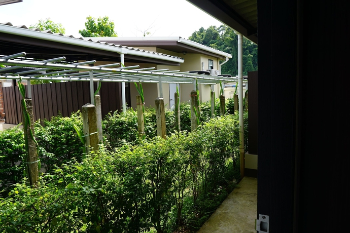 Imagen de los exteriores del Hotel Phumipat Resort Thungsong. Foto 18