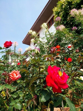 Imagen de los exteriores del Hotel Phumorkdao Resort. Foto 4