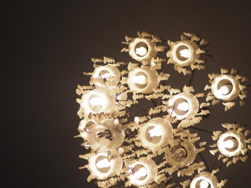 Imagen general del Hotel Phuphanplace. Foto 16