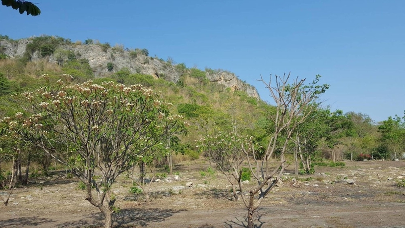 Imagen de los exteriores del Hotel Phurang Hill Resort. Foto 16