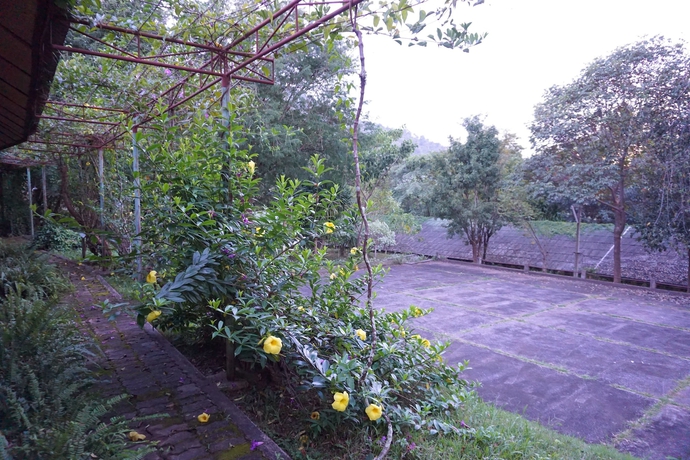 Imagen de los exteriores del Hotel Phurua Chalet. Foto 13