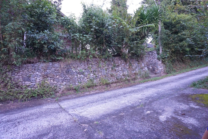 Imagen de los exteriores del Hotel Phurua Chalet. Foto 15