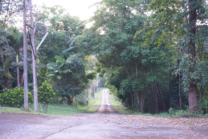 Imagen de los exteriores del Hotel Phurua Chalet. Foto 17