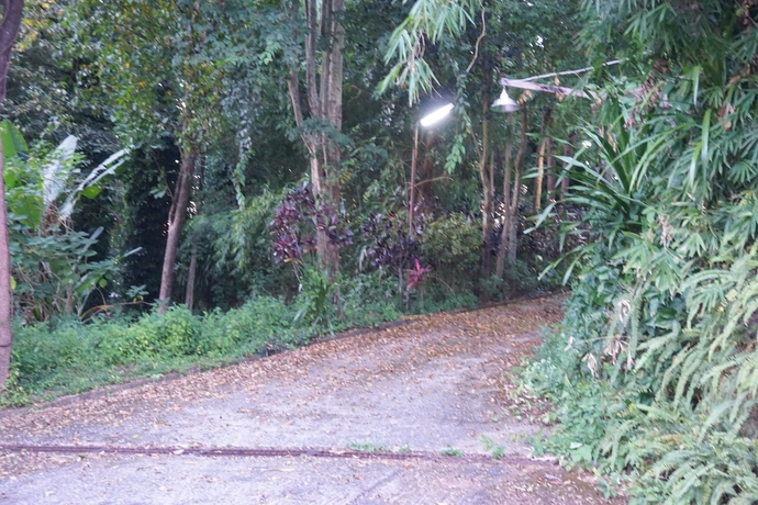 Imagen de los exteriores del Hotel Phurua Chalet. Foto 18