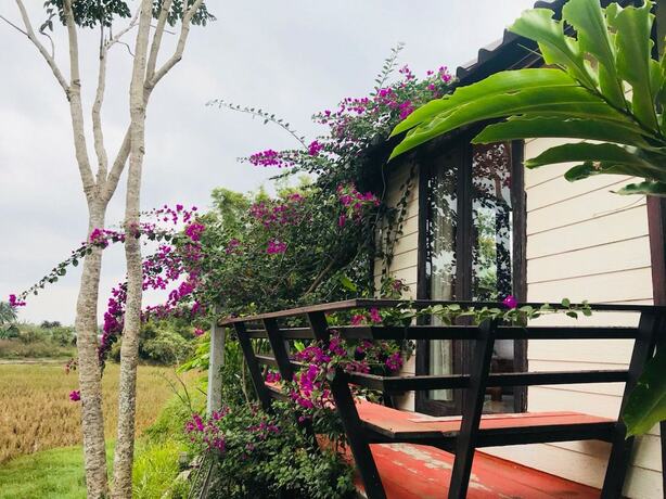 Imagen general del Hotel Phurua View. Foto 7