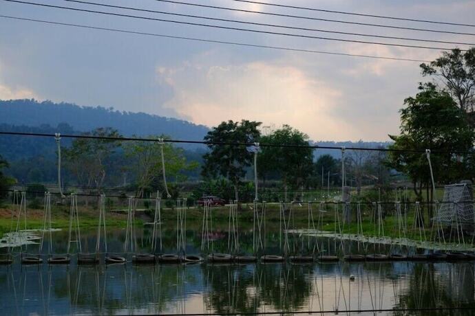 Imagen general del Hotel Phutarafah Resort. Foto 11