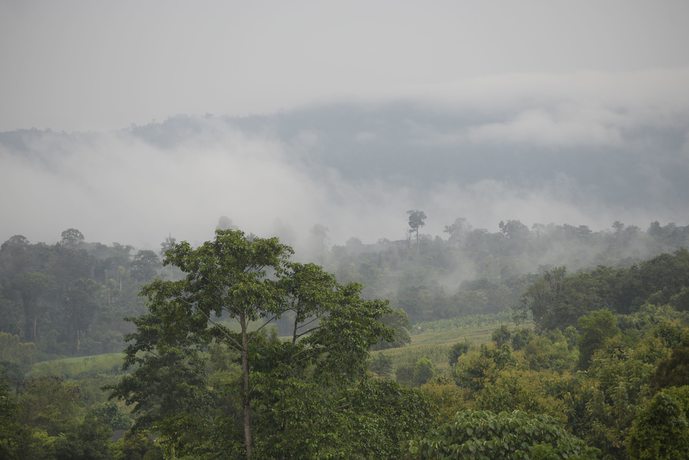 Imagen de los exteriores del Hotel Phuzai Kaew Resort. Foto 7