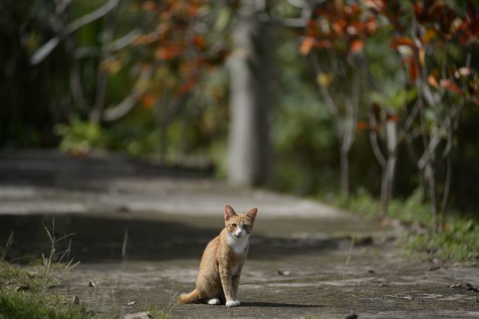 Imagen de los interiores del Hotel Phuzai Kaew Resort. Foto 20