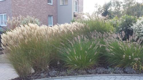 Imagen de la habitación del Hotel Piano 2. Foto 10