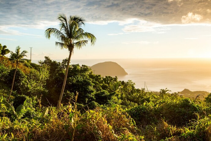 Imagen general del Hotel Picard Beach Cottages. Foto 6