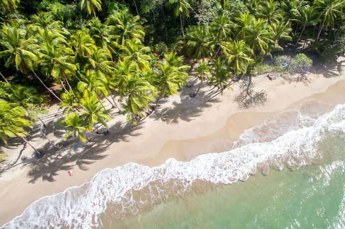 Imagen general del Hotel Picard Beach Cottages. Foto 12