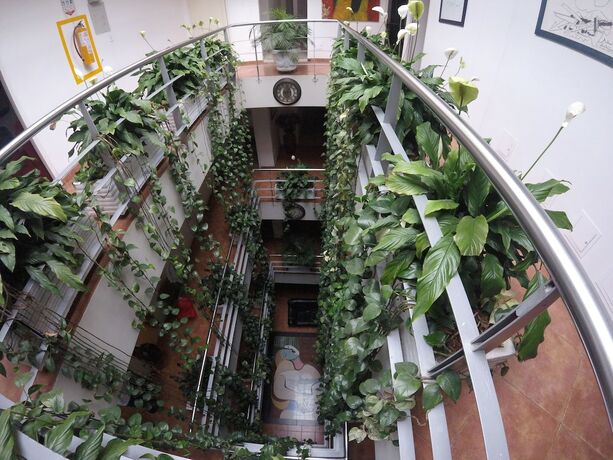 Imagen general del Hotel Picasso Inn, Bogot&aacute;. Foto 13
