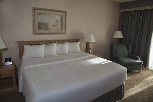 Imagen de la habitación del Hotel Piccadilly Inn Airport. Foto 4