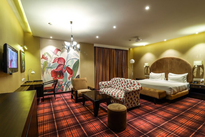 Imagen de la habitación del Hotel Piccadily Raipur. Foto 7