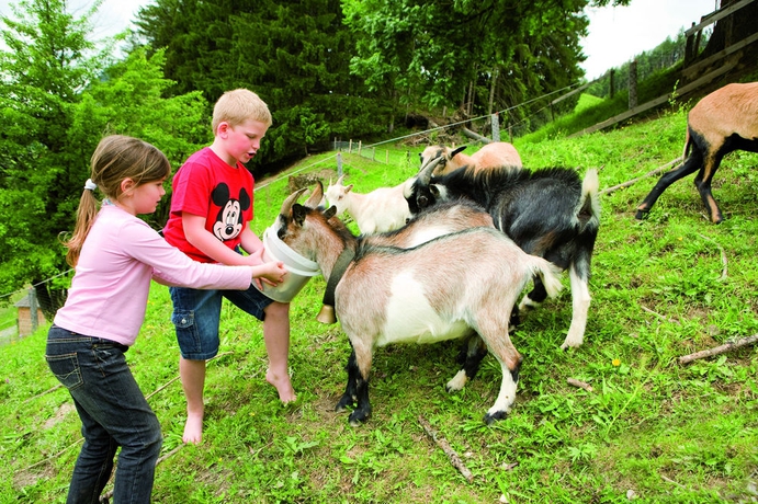 Imagen general del Hotel Pichlmayrgut. Foto 4