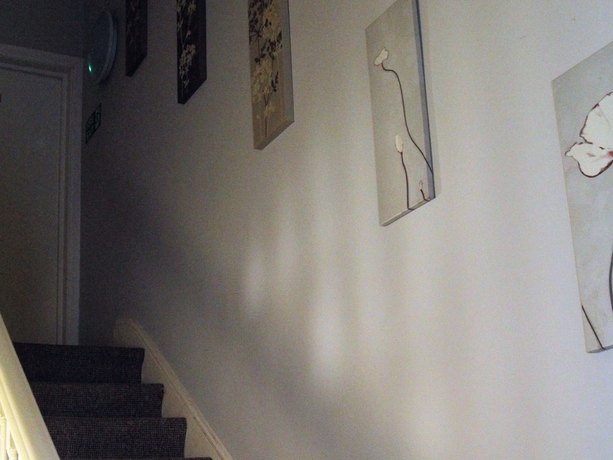 Imagen de los interiores del Hotel Pier 61. Foto 19