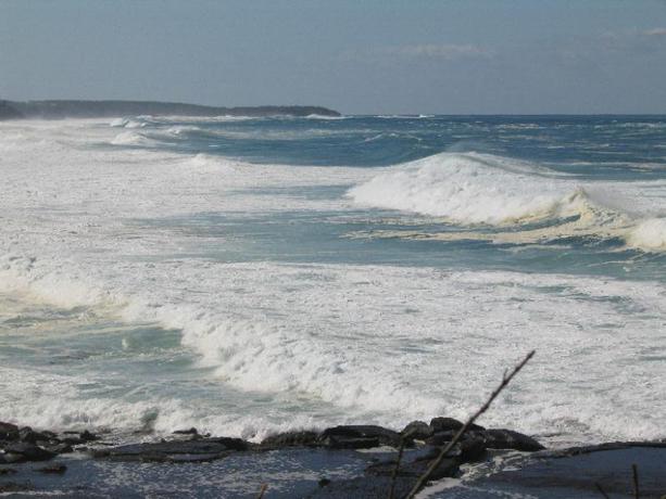 Imagen general del Hotel Pigeon House Motor Inn. Foto 4