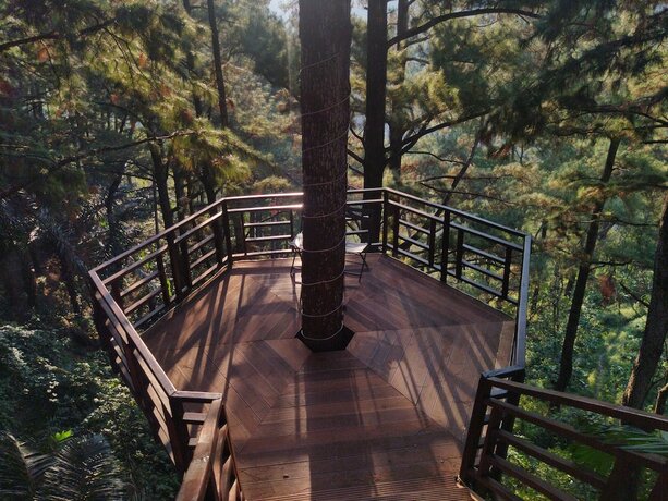 Imagen de la habitación del Hotel Pijar Resort Powered by Cocotel. Foto 13