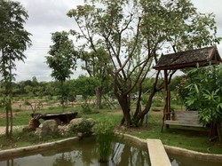 Imagen general del Hotel Pijittra Resort. Foto 2