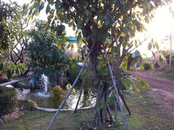 Imagen general del Hotel Pijittra Resort. Foto 3