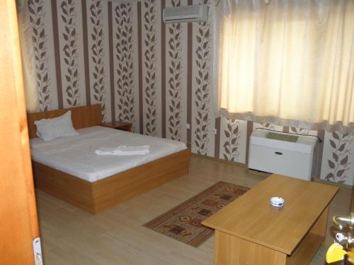 Imagen general del Hotel Pilevski. Foto 11