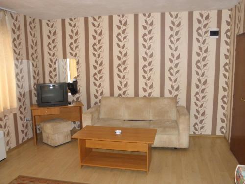 Imagen general del Hotel Pilevski. Foto 12