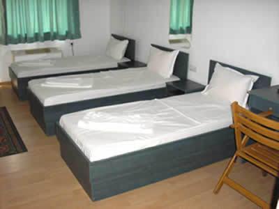 Imagen general del Hotel Pilevski. Foto 14